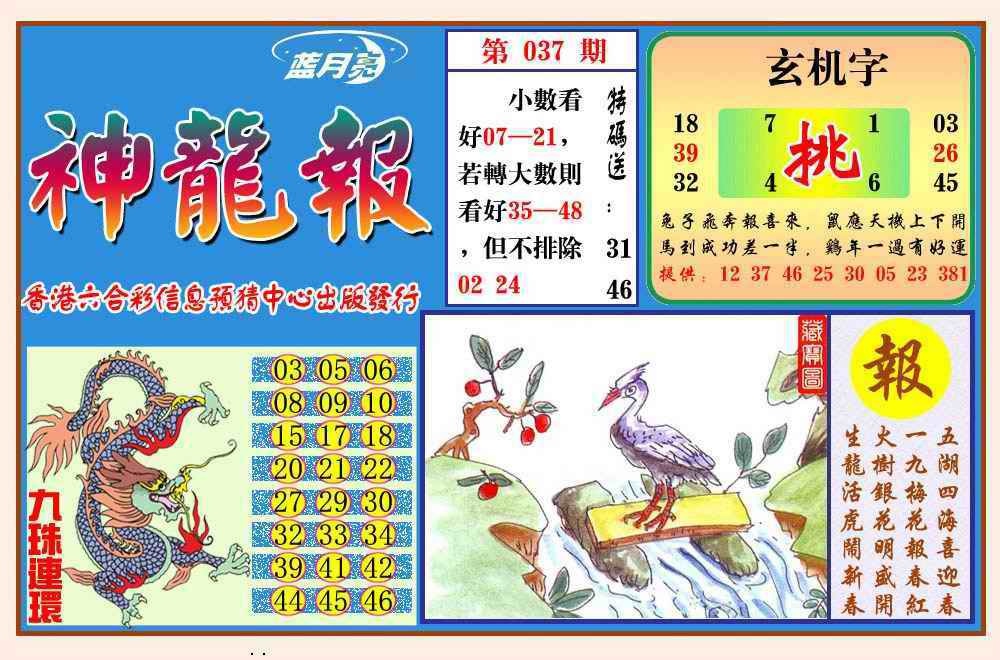 037期神龙报(新图)[图]