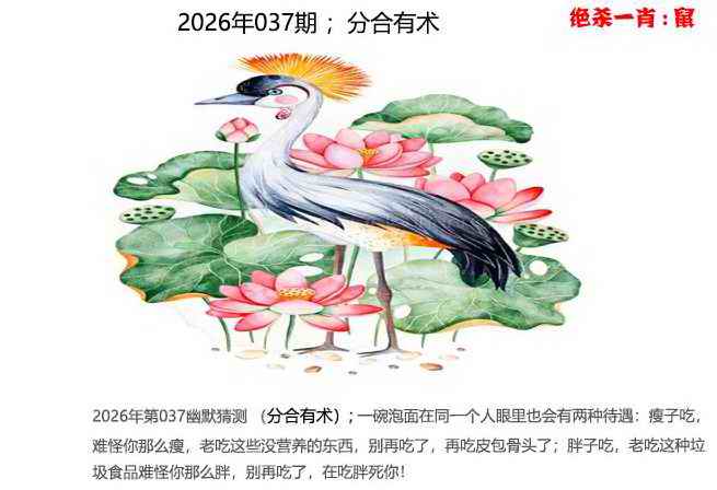 037期幽默猜测[图]