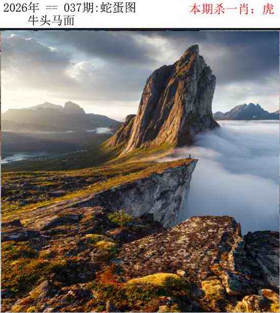 037期正版蛇蛋图[图]